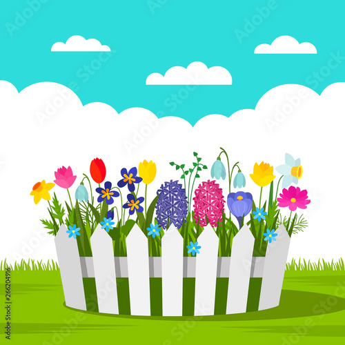 Beautiful flowerbed with spring flowers and a white fence outdoors. concept of garden and gardening. vector illustration