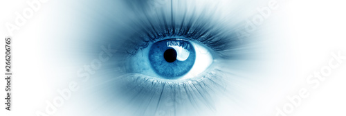 Blue eye of a woman. Eye in motion. Wide banner with a white background. photo