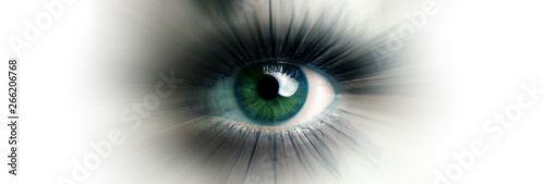 Eye of a woman. Eye in motion. Wide banner with a white background.