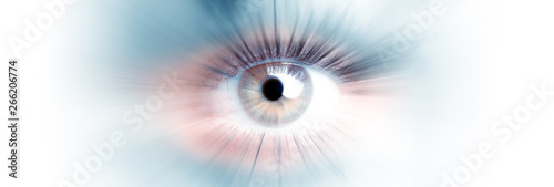 Eye of a woman. Eye in motion. Wide banner with a white background.