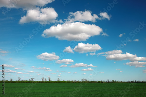 Fototapeta Naklejka Na Ścianę i Meble -  Beautiful landscape with an amazing blue cloudy sky and green grass