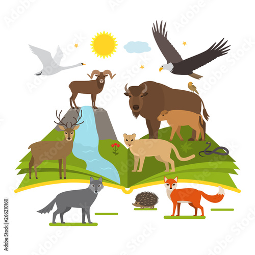 book about the National Parks of nature. big set of animals and birds cartoon style. flat vector