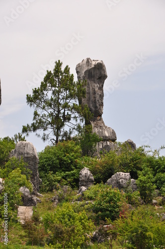 The Stone Forest. Shilin, Yunnan, China.