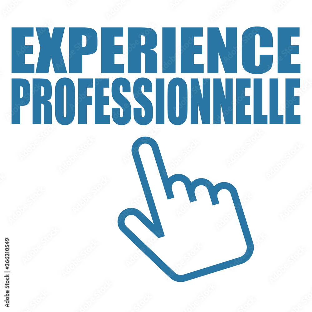 Logo expérience professionnelle. Logo expérience professionnelle.