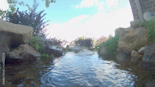 A MacGillivray's Warbler splashing and bathing in a creek - slow motion photo