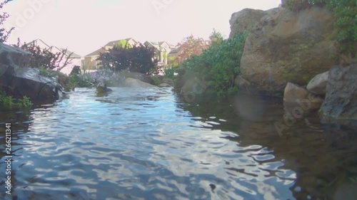 A MacGillivray's Warbler bathing in an idylic creek - slow motion photo