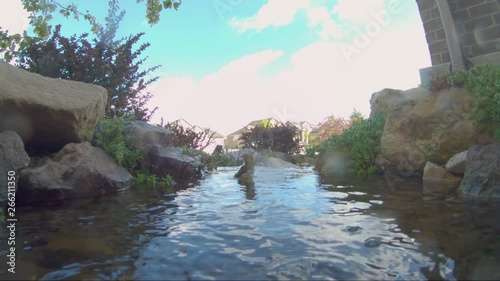 A MacGillivray's Warbler bathing in a small stream - slow motion photo