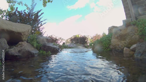 A Macgillivray's Warbler playing, splashing and bathing in a idylic brook photo
