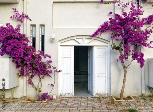 Doorway surrounded by flowers, Crete