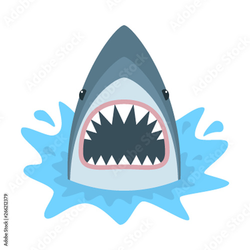Shark with open mouth. Shark isolation on a white background. Flat vector