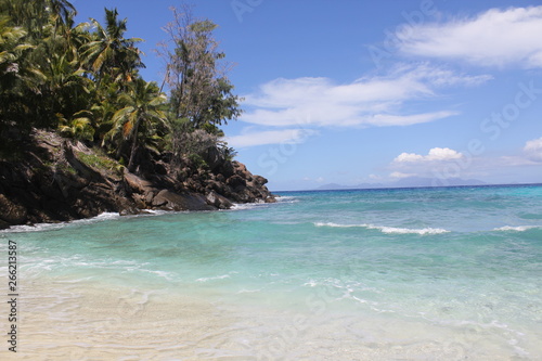 Fototapeta Naklejka Na Ścianę i Meble -  seychelles beach private island coconut