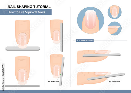 Nail Shaping Tutorial. How to File a Squoval Nail Shape. Step by Step Instruction. Vector illustration