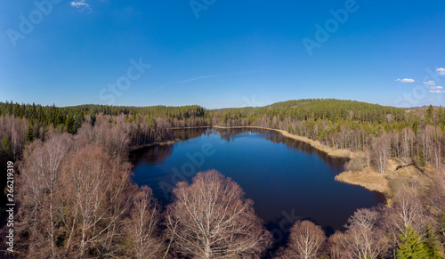 Forested Landscape