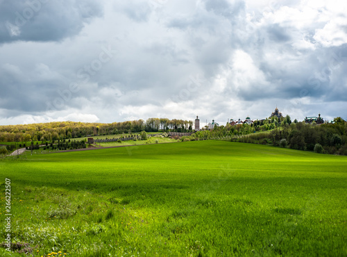 Eye-catching landscape with green grass,  hills and trees, cloudy sky © Денис Ржанов