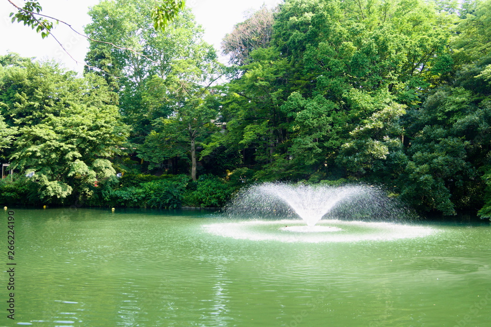 fountain in park