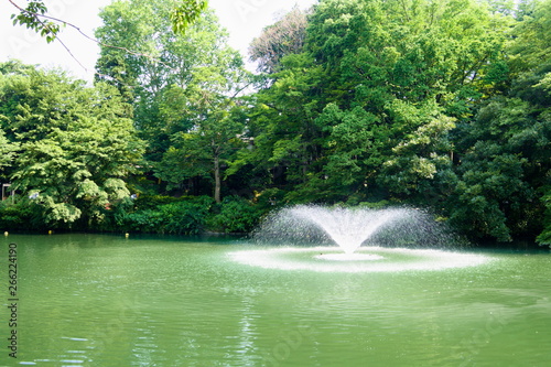 Obraz na płótnie fountain in park w salonie