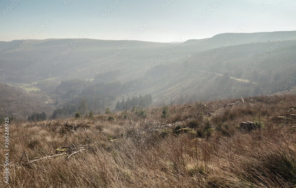 Brecon Beacon Valley in Morning Mist Brecon Beacon Valley in Morning Mist