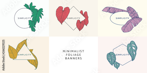 Minimalist foliage banner template design collection, Philodendron bipinnatifidum, Philodendron gloriosum, banana leaves, Philodendron orange, Monstera deliciosa with geometric frame