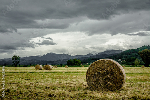 bales of hay