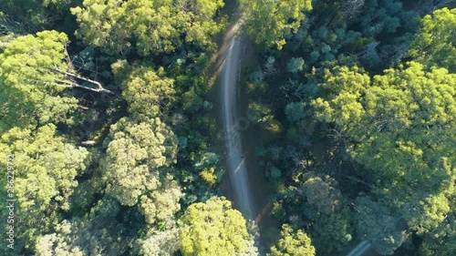 Slow descend towards trees and dirt road in the forest. Yarra Ranges, Australia photo