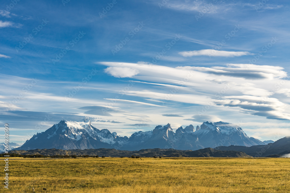 Beautiful panoramic view of golden yellow grass with background of nature cuernos mountains peak with cloud in autumn, Torres del Paine national park, south Patagonia, Chile