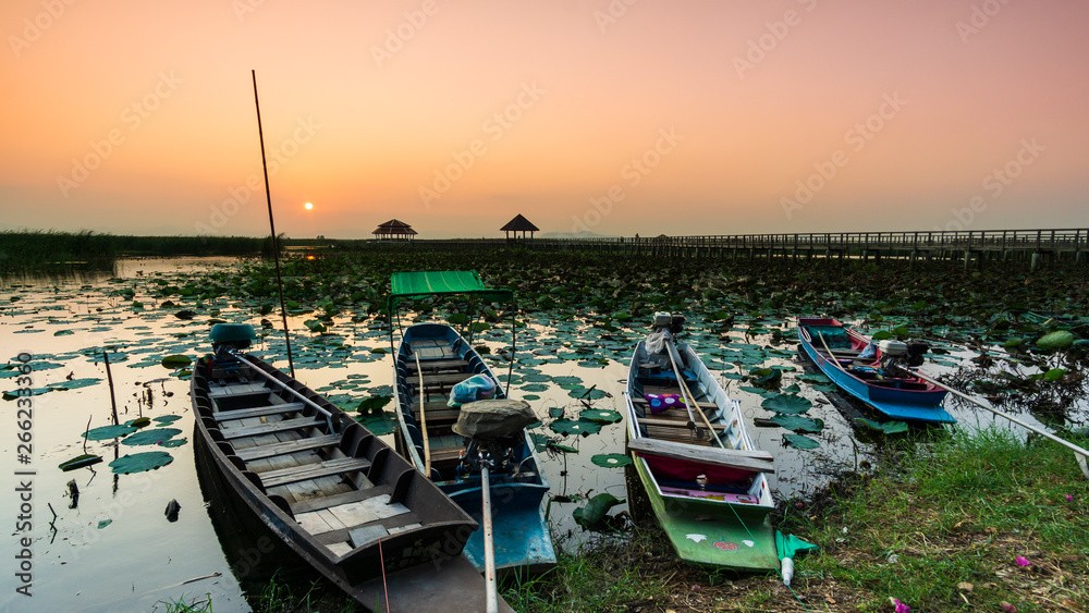 Wooden boat hire, take tourists to see the lotus pond during the sunset landscape
