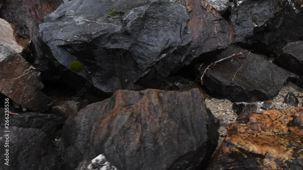 Wet rocks on a lake shore with some sand and moss. Leaves and sticks are also present. Wet rocks on a lake shore with some sand and moss. Leaves and sticks are also present.