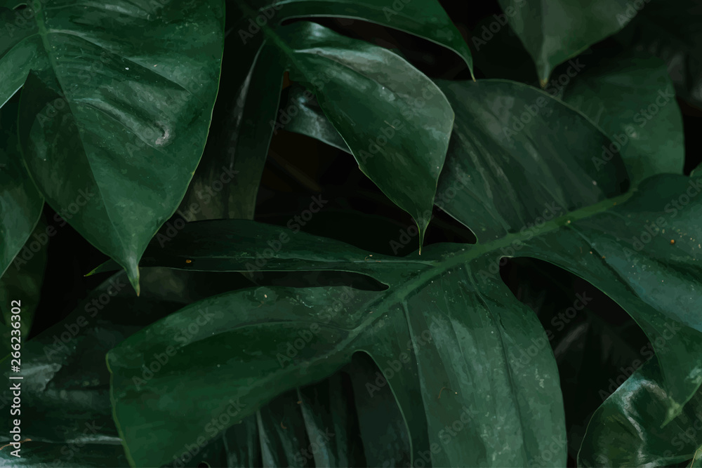 Nature pattern background Nature pattern background