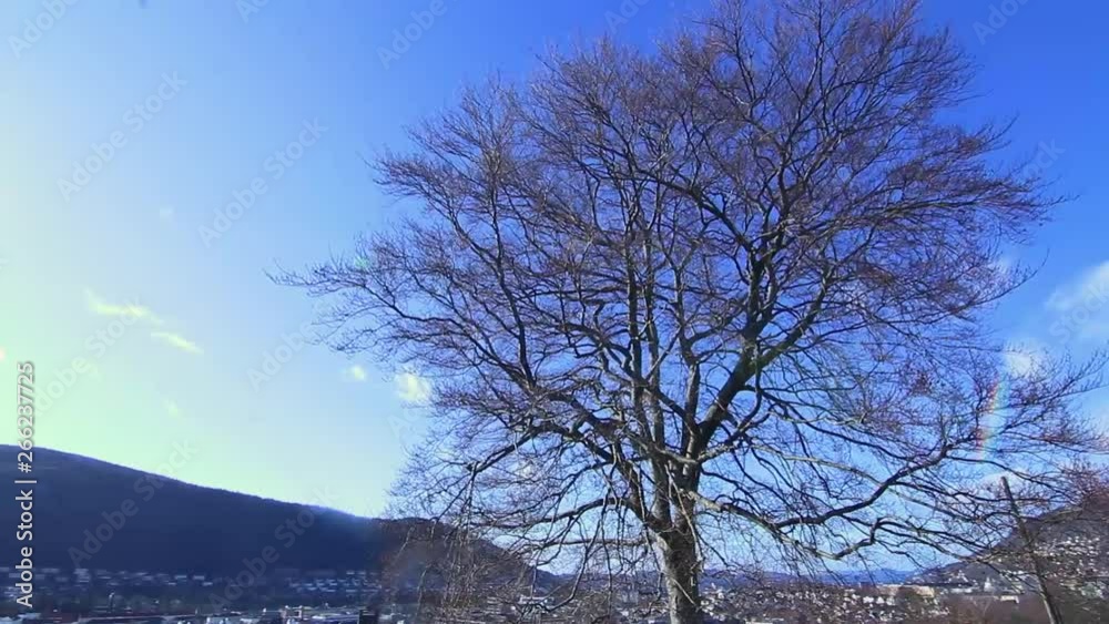 Landåsparken in Bergen, Norway on a sunny day with blue skyes Landåsparken in Bergen, Norway on a sunny day with blue skyes