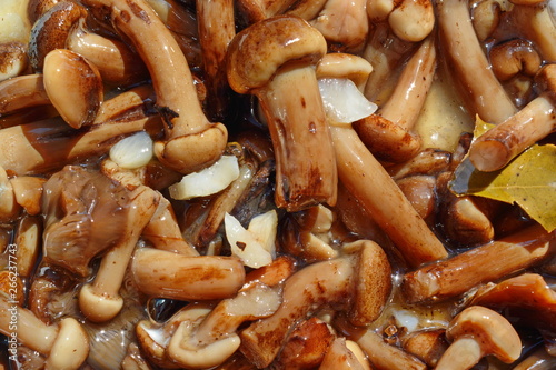 Pickled canned mushrooms. Little brown forest honey agaric in the marinade with seasoning