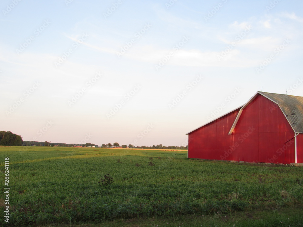 Red Barn in a field