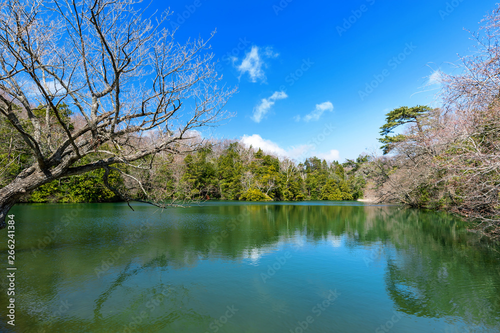 【青森県深浦町】十二湖入口の八景の池