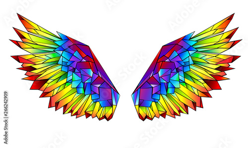 Rainbow polygonal wings