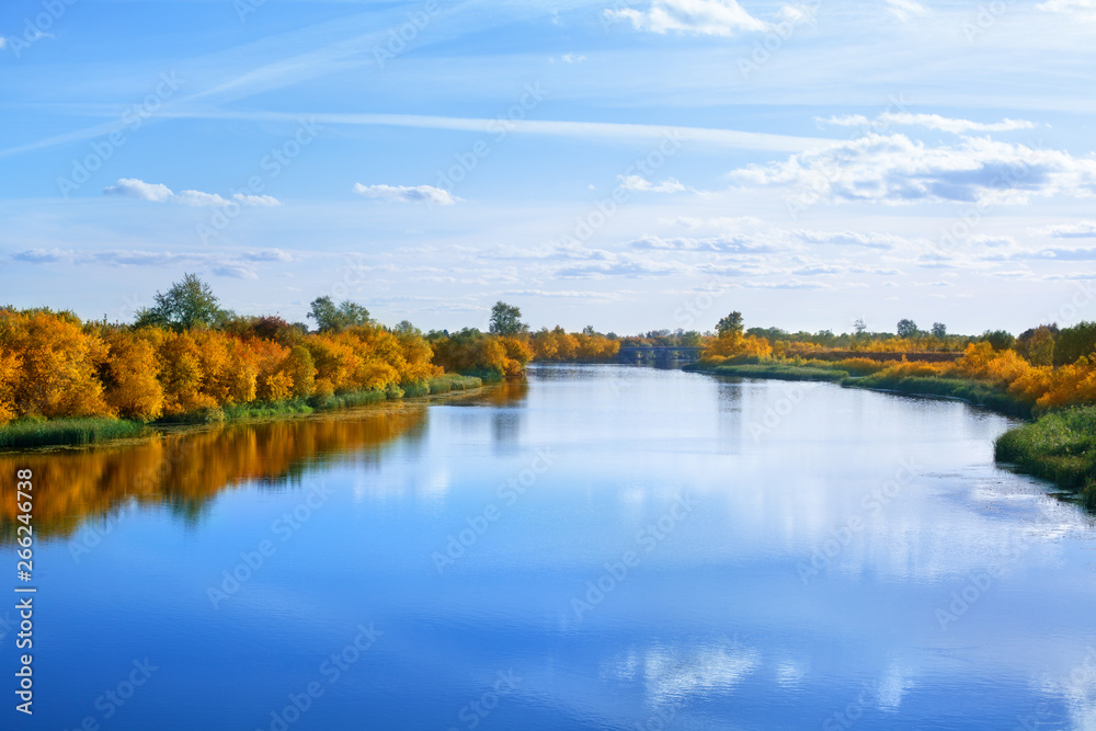 Autumn landscape, yellow leaves trees on river bank on blue sky and white clouds background on sunny day, mirror reflection in blue lake water, golden foliage, fall season beautiful nature, copy space