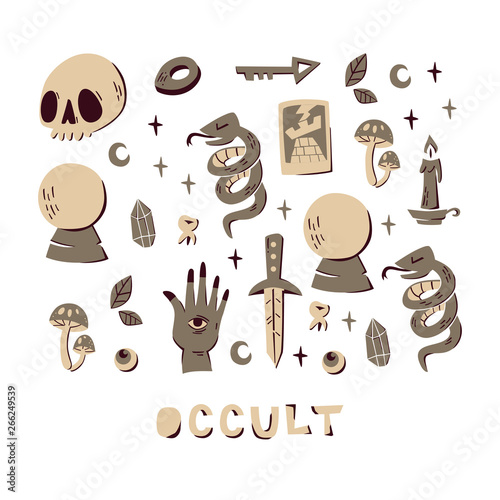 Collection with Magic Elements: Skull, Tarot Card, Crystal Ball, Snake, Knife and etc.