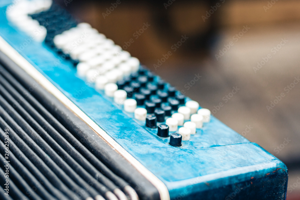 Naklejka premium classical retro bayan (accordion), musical instrument .