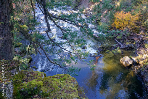 Rogue River Pool
