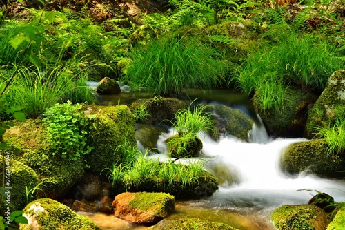 Spring  Mountain brook   Stream   Water Movement 