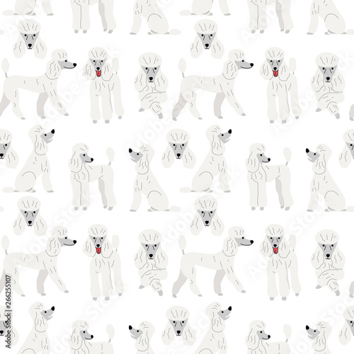 poodle in action seamless pattern