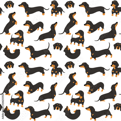 dachshund in action,seamless pattern