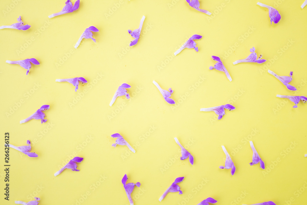Floral background frame made of pink flowers and purple buds on a yellow background. Flat lay, top view floral background. Floral background frame made of pink flowers and purple buds on a yellow background. Flat lay, top view floral background.