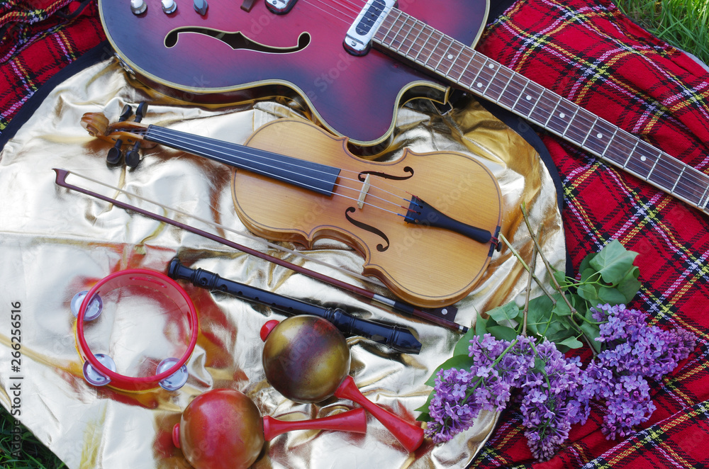 Fototapeta premium Musical instruments on a picnic against the backdrop of nature