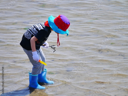 《男の子／こども》干潟で潮干狩り