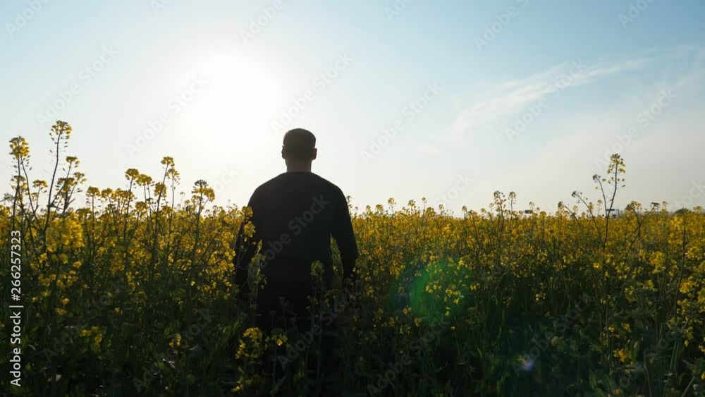 Silhouette of happy inspired man jumping up and rising arms in the colza field at sunset. Slow motion Silhouette of happy inspired man jumping up and rising arms in the colza field at sunset. Slow motion