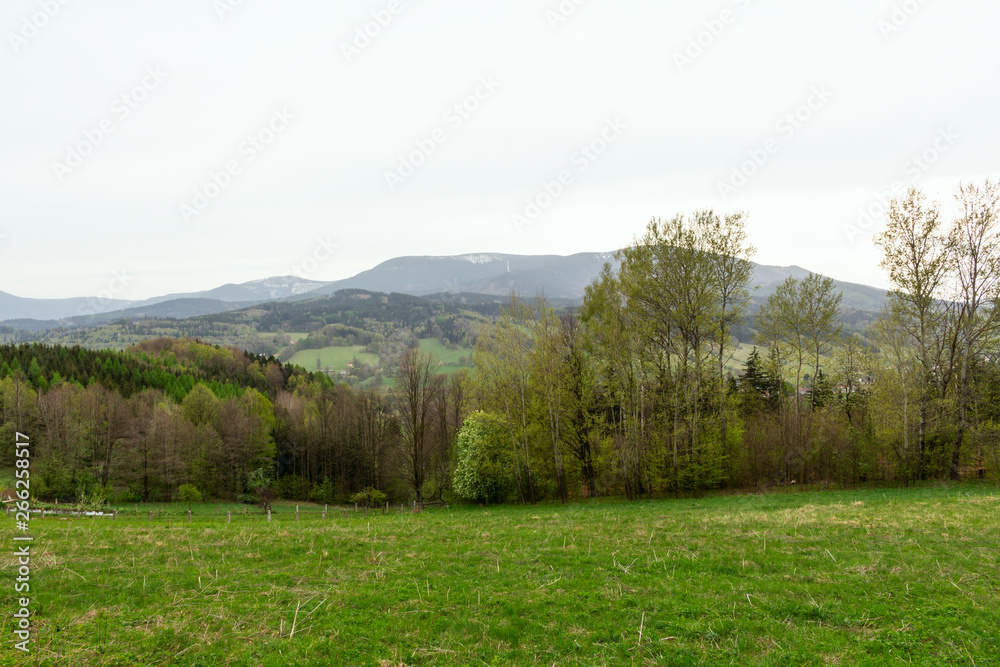 Fantastic morning mountain landscape, scenery of high green mountains, blue sky with clouds, beauty world.