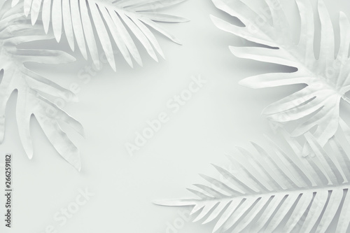 Collection of tropical leaves,foliage plant in white color with space background.Abstract leaf decoration design.Exotic nature art