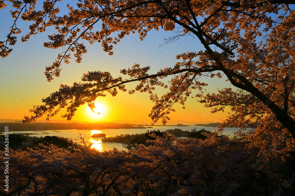 春の松島 春の松島