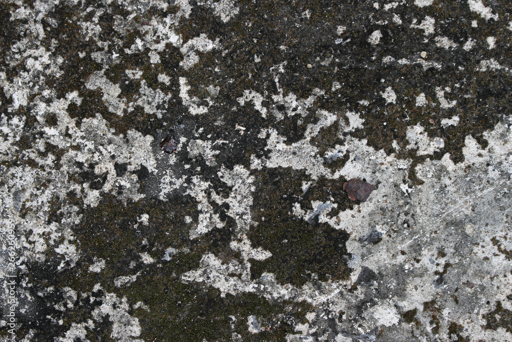 dry dirty grunge ground cracked on concrete surface texture