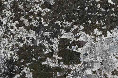dry dirty grunge ground cracked on concrete surface texture © studio2013