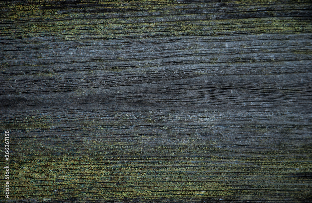 Old wood. Background of old board and cracked paint. Old wood. Background of old board and cracked paint.